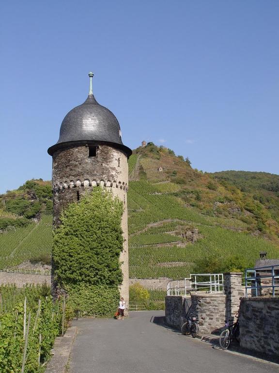Pension Adelheid Moselhype&Wine Zell an der Mosel Exteriér fotografie