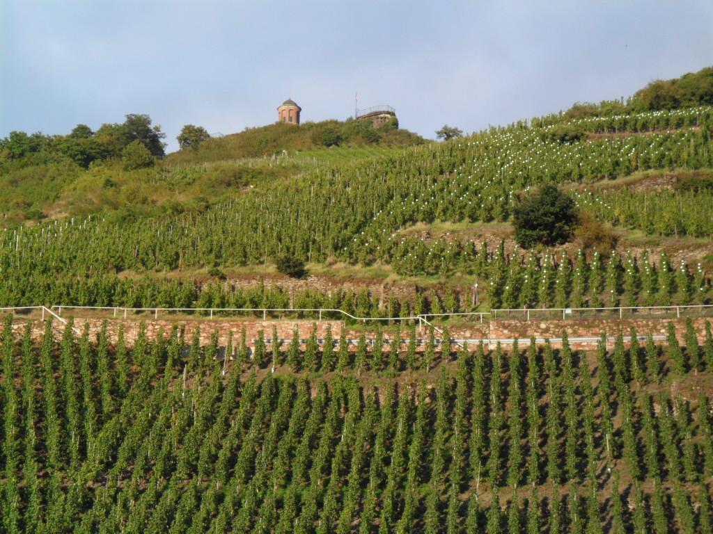 Pension Adelheid Moselhype&Wine Zell an der Mosel Exteriér fotografie