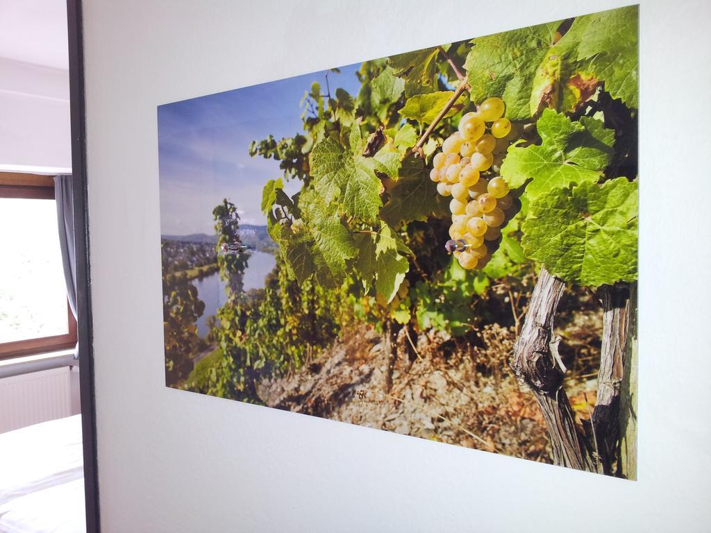 Pension Adelheid Moselhype&Wine Zell an der Mosel Exteriér fotografie
