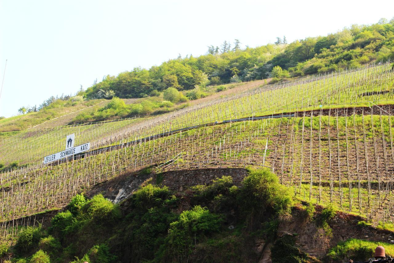 Pension Adelheid Moselhype&Wine Zell an der Mosel Exteriér fotografie