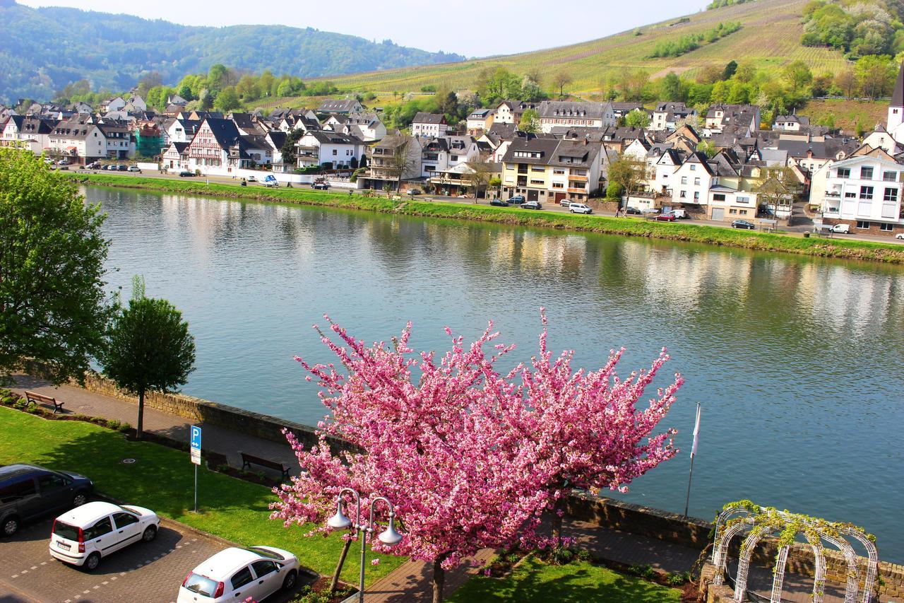 Pension Adelheid Moselhype&Wine Zell an der Mosel Exteriér fotografie